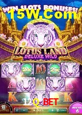 Experiência VIP 12Q Bet